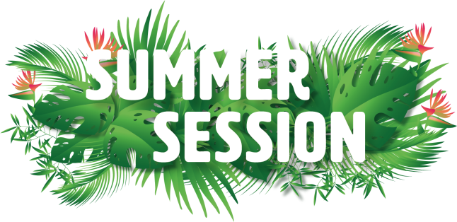 Summer Session Mainz